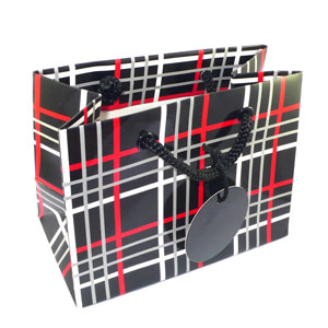 Tartan Check Gift Bag