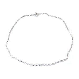 Delicate Silver Ankle Chain 10"